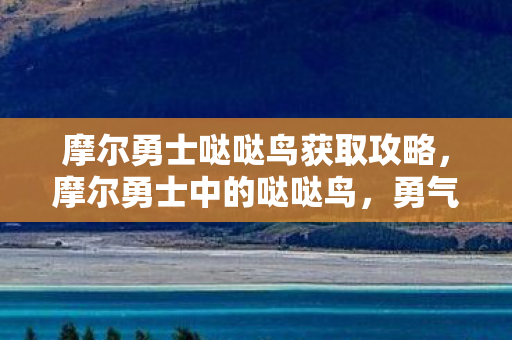 摩尔勇士哒哒鸟获取攻略，摩尔勇士中的哒哒鸟，勇气与智慧的象征