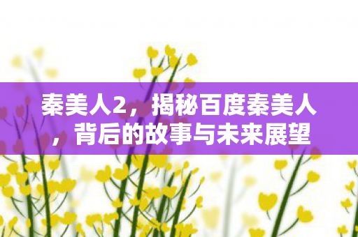 秦美人2，揭秘百度秦美人，背后的故事与未来展望