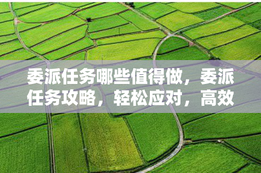 委派任务哪些值得做，委派任务攻略，轻松应对，高效完成