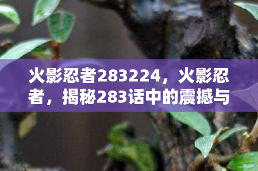 火影忍者283224，火影忍者，揭秘283话中的震撼与成长