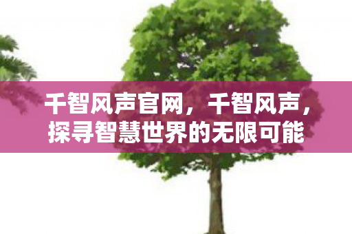 千智风声官网，千智风声，探寻智慧世界的无限可能