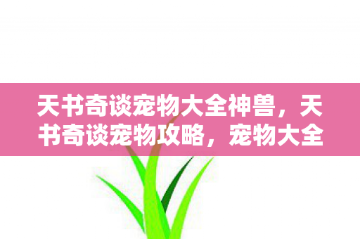 天书奇谈宠物大全神兽，天书奇谈宠物攻略，宠物大全及培养指南