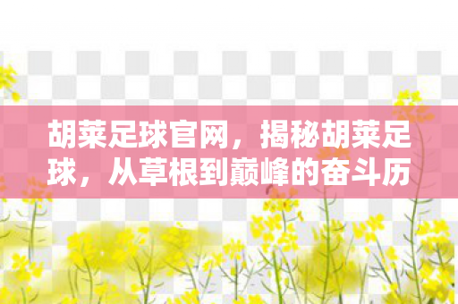 胡莱足球官网，揭秘胡莱足球，从草根到巅峰的奋斗历程