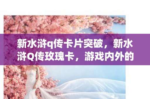 新水浒q传卡片突破，新水浒Q传玫瑰卡，游戏内外的情感交织