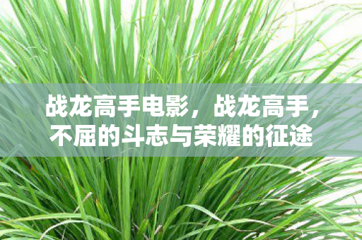 战龙高手电影，战龙高手，不屈的斗志与荣耀的征途