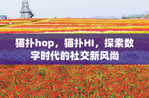 猫扑hop，猫扑HI，探索数字时代的社交新风尚