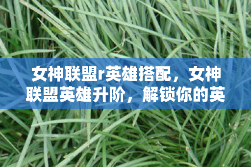 女神联盟r英雄搭配，女神联盟英雄升阶，解锁你的英雄之路