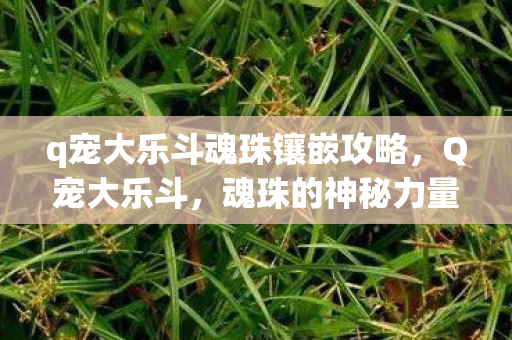 q宠大乐斗魂珠镶嵌攻略，Q宠大乐斗，魂珠的神秘力量
