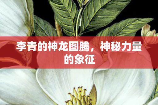 李青的神龙图腾，神秘力量的象征