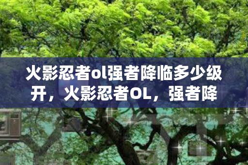 火影忍者ol强者降临多少级开，火影忍者OL，强者降临