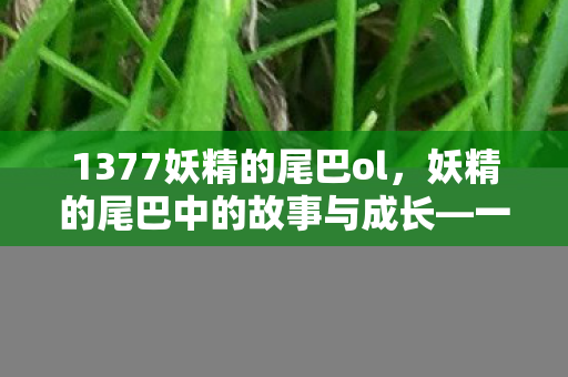 1377妖精的尾巴ol，妖精的尾巴中的故事与成长—一个不灭的冒险之旅