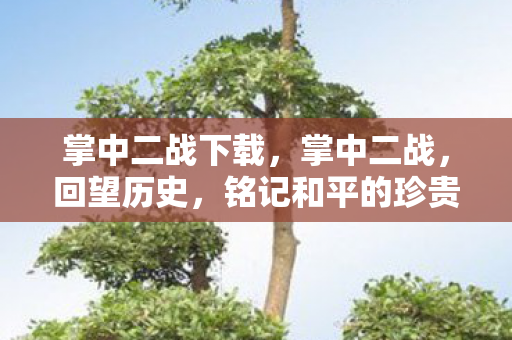 掌中二战下载，掌中二战，回望历史，铭记和平的珍贵