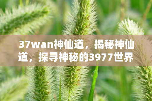 37wan神仙道，揭秘神仙道，探寻神秘的3977世界