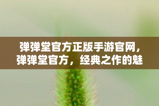 弹弹堂官方正版手游官网，弹弹堂官方，经典之作的魅力和独特之处