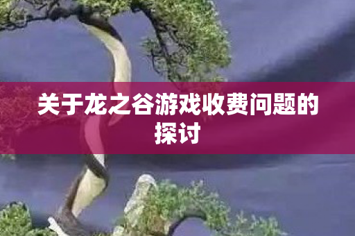关于龙之谷游戏收费问题的探讨
