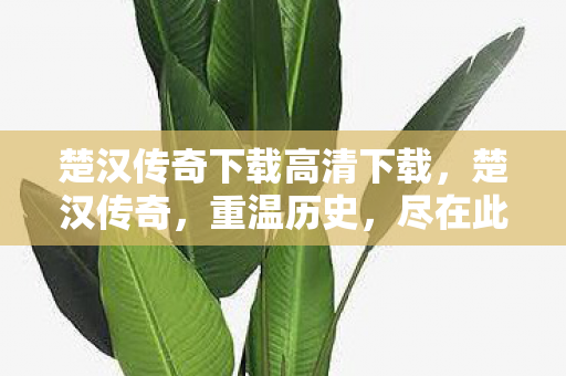 楚汉传奇下载高清下载，楚汉传奇，重温历史，尽在此地