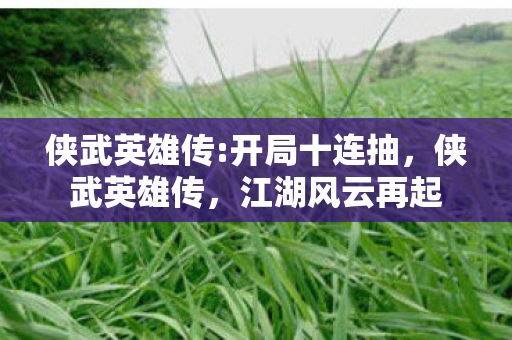 侠武英雄传:开局十连抽，侠武英雄传，江湖风云再起