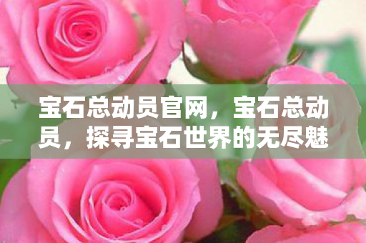 宝石总动员官网，宝石总动员，探寻宝石世界的无尽魅力与神秘传奇