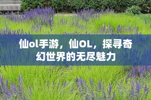 仙ol手游，仙OL，探寻奇幻世界的无尽魅力