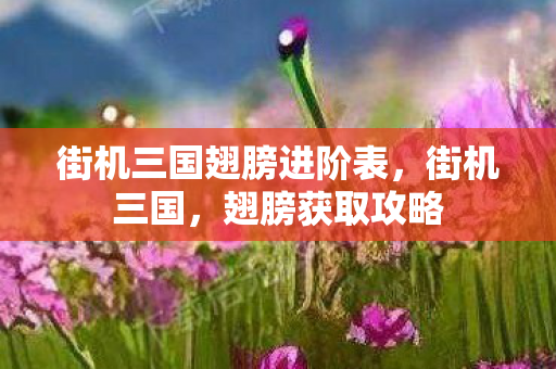 街机三国翅膀进阶表，街机三国，翅膀获取攻略