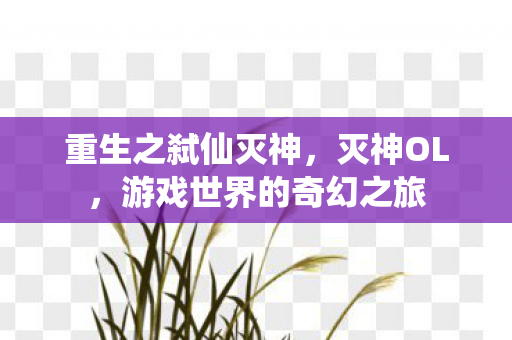 重生之弑仙灭神，灭神OL，游戏世界的奇幻之旅