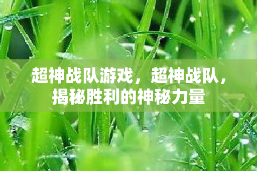 超神战队游戏，超神战队，揭秘胜利的神秘力量