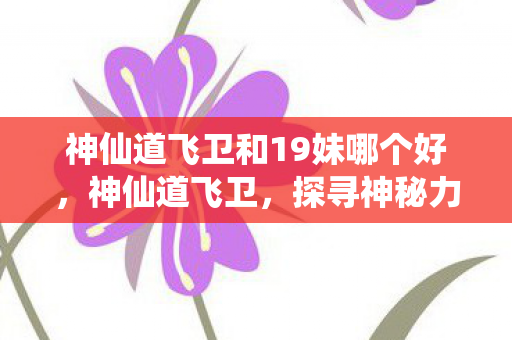 神仙道飞卫和19妹哪个好，神仙道飞卫，探寻神秘力量的传奇之旅