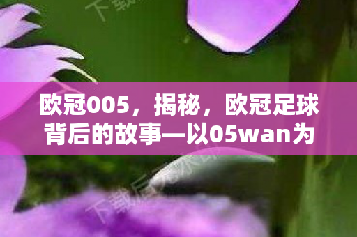 欧冠005，揭秘，欧冠足球背后的故事—以05wan为例