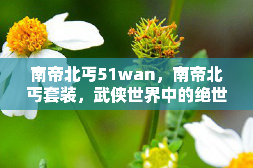 南帝北丐51wan，南帝北丐套装，武侠世界中的绝世装备