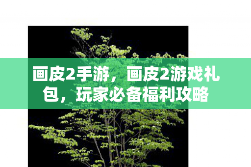 画皮2手游，画皮2游戏礼包，玩家必备福利攻略