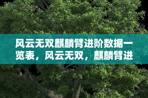 风云无双麒麟臂进阶数据一览表，风云无双，麒麟臂进阶数据全解析