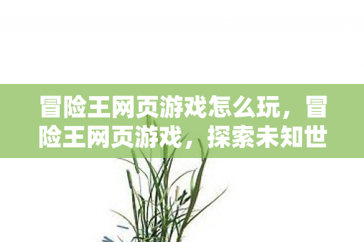 冒险王网页游戏怎么玩，冒险王网页游戏，探索未知世界的奇幻之旅