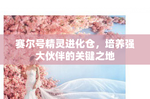 赛尔号精灵进化仓，培养强大伙伴的关键之地