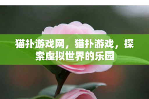 猫扑游戏网，猫扑游戏，探索虚拟世界的乐园