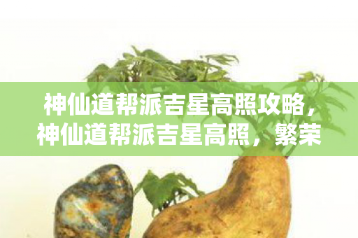 神仙道帮派吉星高照攻略，神仙道帮派吉星高照，繁荣兴盛的奥秘与启示