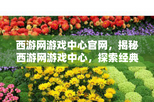 西游网游戏中心官网，揭秘西游网游戏中心，探索经典与创新的交融之地