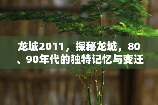 龙城2011，探秘龙城，80、90年代的独特记忆与变迁
