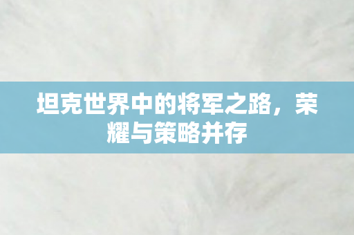 坦克世界中的将军之路，荣耀与策略并存