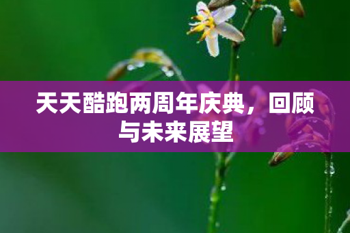 天天酷跑两周年庆典，回顾与未来展望