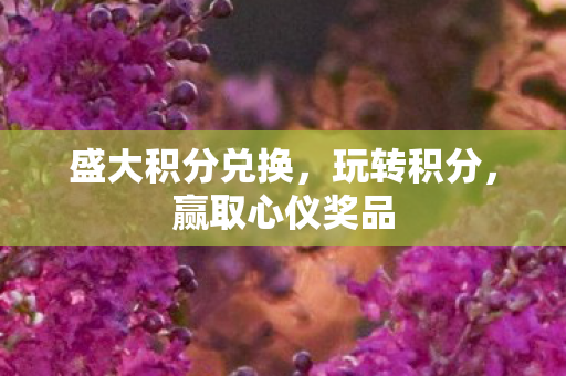 盛大积分兑换，玩转积分，赢取心仪奖品