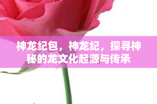 神龙纪包，神龙纪，探寻神秘的龙文化起源与传承