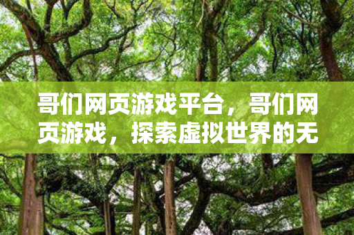 哥们网页游戏平台，哥们网页游戏，探索虚拟世界的无尽乐趣