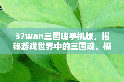 37wan三国魂手机版，揭秘游戏世界中的三国魂，探寻37wan三国魂背后的故事与魅力