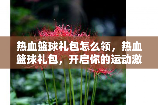 热血篮球礼包怎么领，热血篮球礼包，开启你的运动激情！