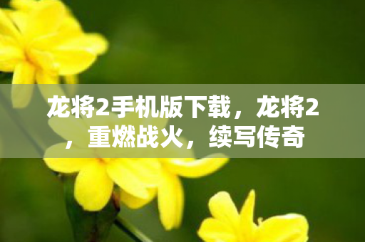 龙将2手机版下载，龙将2，重燃战火，续写传奇