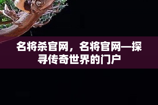 名将杀官网，名将官网—探寻传奇世界的门户