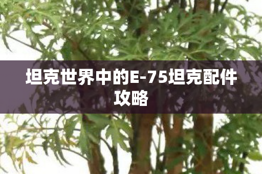 坦克世界中的E-75坦克配件攻略