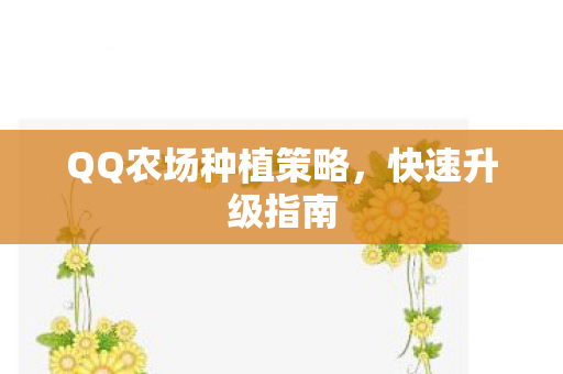 QQ农场种植策略，快速升级指南
