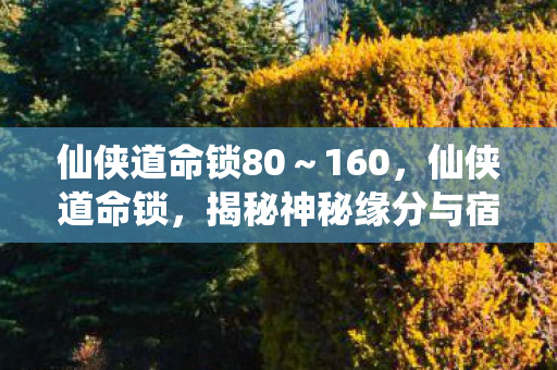 仙侠道命锁80～160，仙侠道命锁，揭秘神秘缘分与宿命纠缠