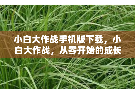 小白大作战手机版下载，小白大作战，从零开始的成长之路